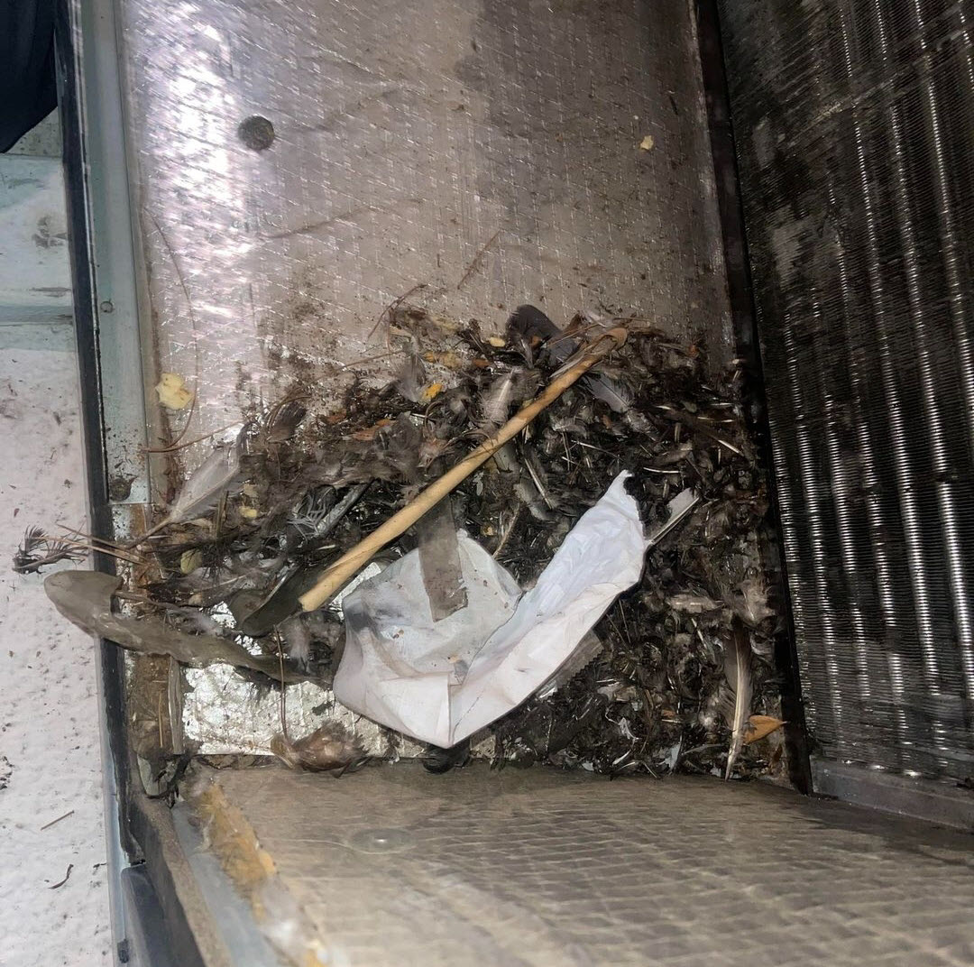 Before - Evaporator Coil Cleaning