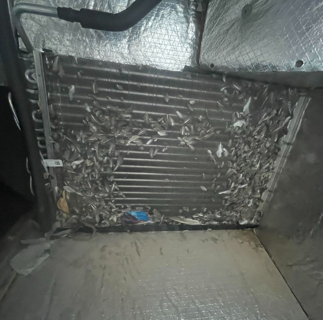 Before - Evaporator Coil Cleaning
