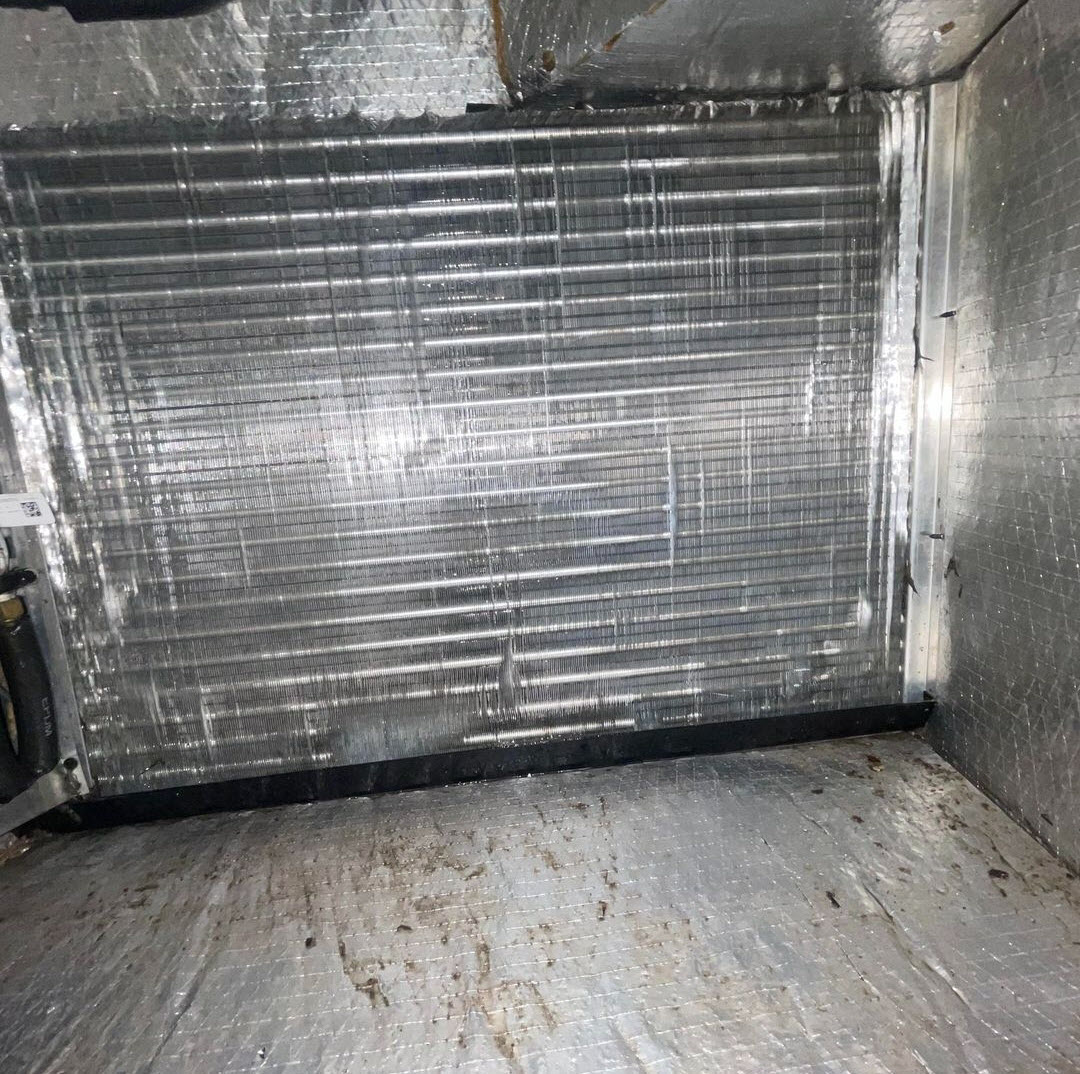 After - Evaporator Coil Cleaning