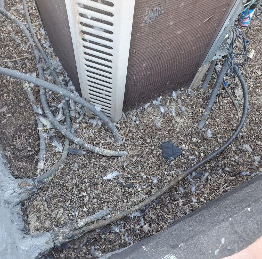 Preventative Maintenance