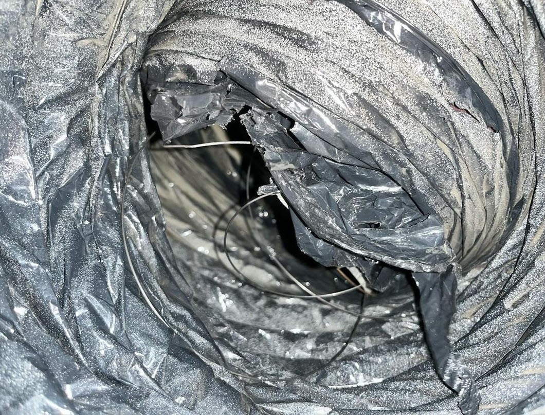 Rodent Damaged Air Ducts