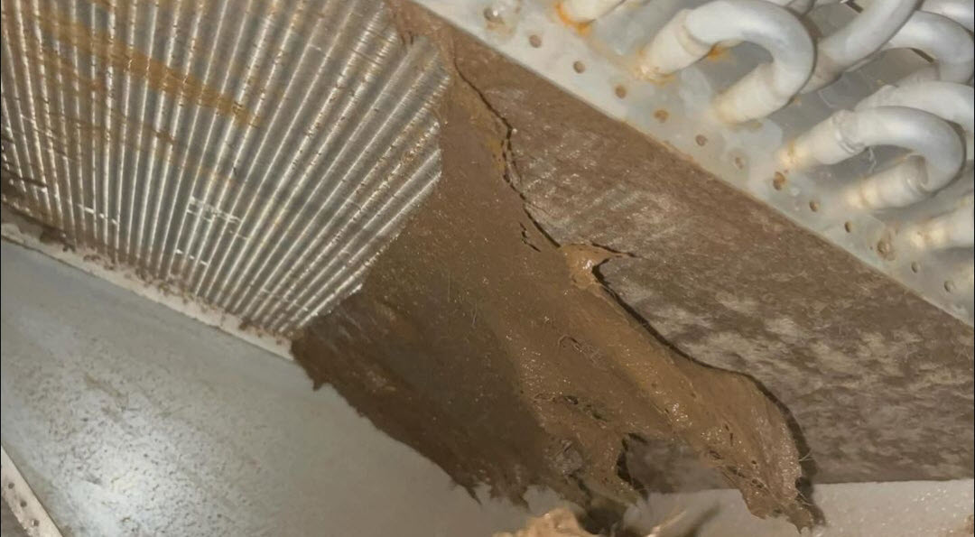 Dirty Coils caused by not replacing filters